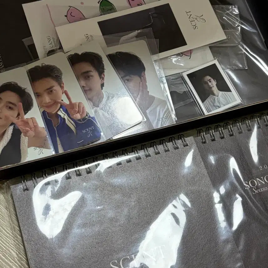 [BUNJANG] Song Kang 2024 Season's Greetings Full Set / 송강 2024 시즌그리팅 풀구성