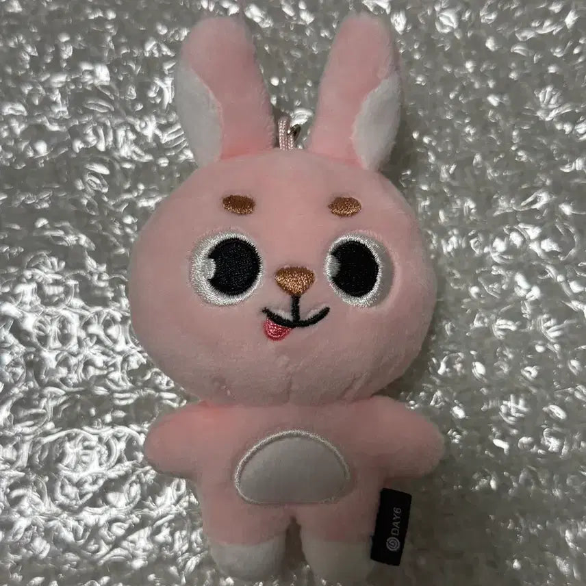 [BUNJANG] DAY6 Wonpil Unfiltered MD Secret Keyring Merongpil / 데이식스 원필 시크릿키링 메롱필