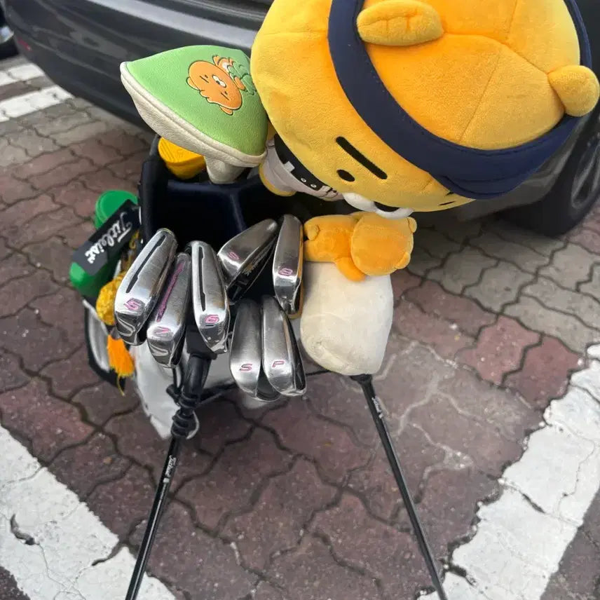 [BUNJANG] Kakao Friends Golf Bag Bundle with TaylorMade and David Golf Clubs / 골프백,채 일괄 판매