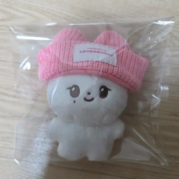 [BUNJANG] Seventeen Jeonghan Jjongjjongkomi Bundle Set / 급처 ) 세븐틴 정한 쫑쫑코미 양도 (배송비 포함)