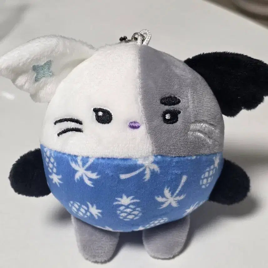[BUNJANG] XDINARY HEROES Jungsu Nyangdu Plush / 엑디즈 정수 냥듀