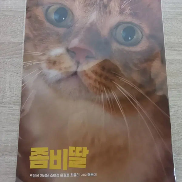[BUNJANG] Zombie Daughter Ae-yong Poster / 좀비딸 애용이 포스터