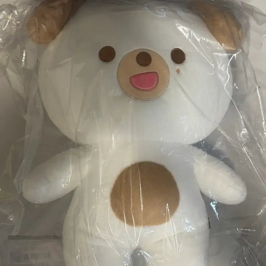 [BUNJANG] Giant Petite Merz Cushion & Money Set / 자이언트 쁘띠멀즈 , 방석 돈 세트 원가이하 양도