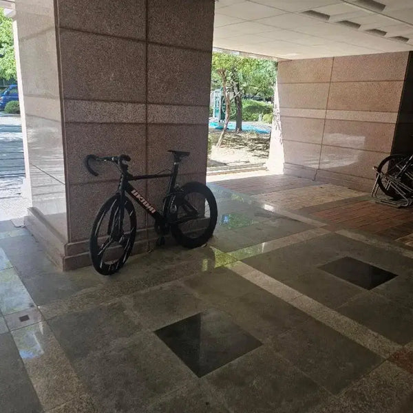 [BUNJANG] Unknown Lab3 Carbon Wheel Track Bike / 언노운 랩3