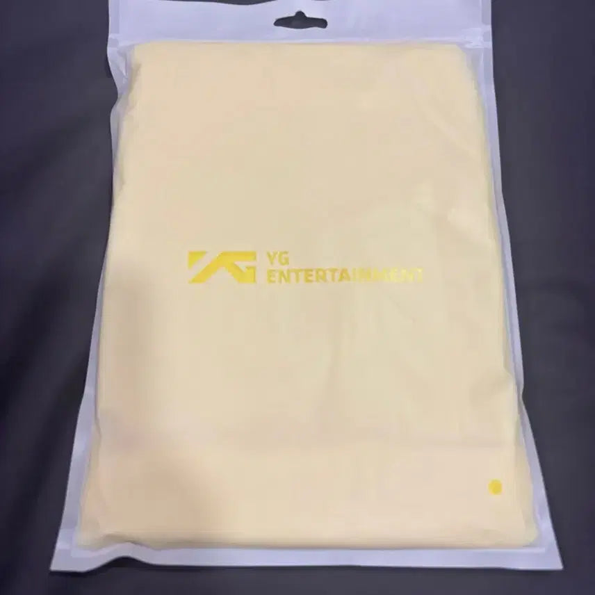 [BUNJANG] Big Bang 20th Anniversary First Concert Gift Set & Lightstick / 빅뱅20주년 첫콘 기프트세트