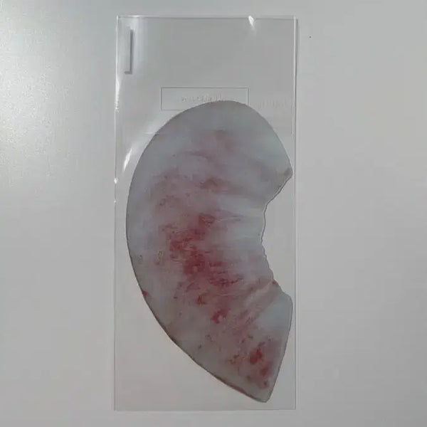 [BUNJANG] Yookto Baekdo Peach Bookmark / 이옥토 백도 책갈피 판매 급전 옥토 복숭아 책갈피