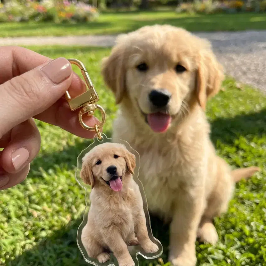 [BUNJANG] Custom Pet Acrylic Keychain - Dog & Cat / 반려동물 아크릴 키링 강아지 고양