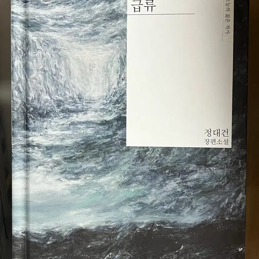 [BUNJANG] Jeong Dae-geon Long Novel 'Rapids' / 급류 정대건 장편소설