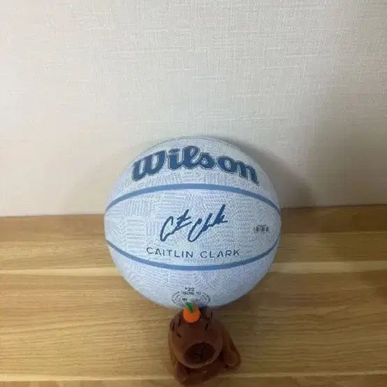 [BUNJANG] Wilson Caitlin Clark Basketball / 윌슨 케이튼 클락 농구공