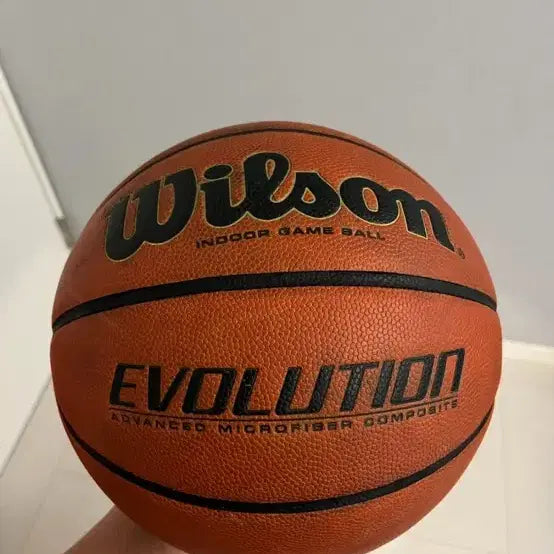 [BUNJANG] Wilson Evolution Basketball / 윌슨 에볼루션 농구공