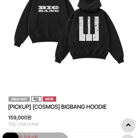 [BUNJANG] Big Bang Hoodie L / 빅뱅 후디L 정가양도