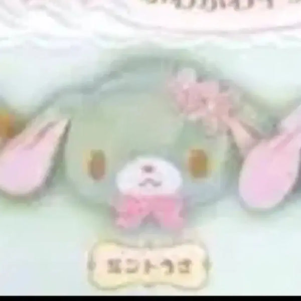 [BUNJANG] SugarBunnies Mint Usagi Plush Pouch / 슈가바니즈 민트우사 누이구루미 파우치