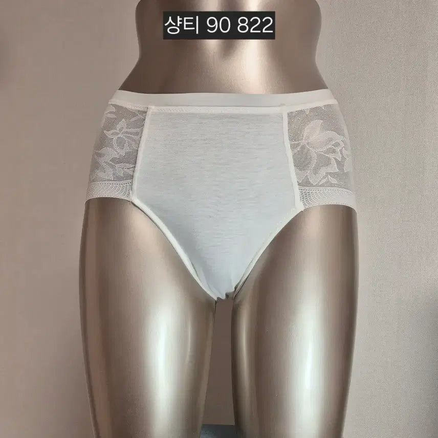 [BUNJANG] Chanti Lace Briefs - Women's Size 90 / 중고 여성 팬티 샹티 레이스 브리프 90 822