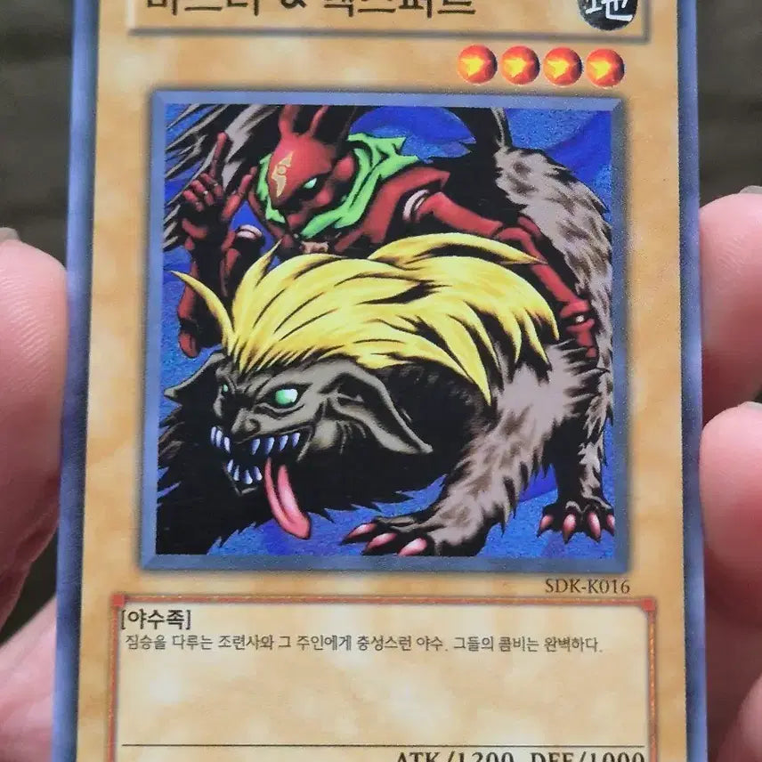 [BUNJANG] Yu-Gi-Oh! Master & Expert Normal Cards / 유희왕 마스터 & 엑스퍼트 노말