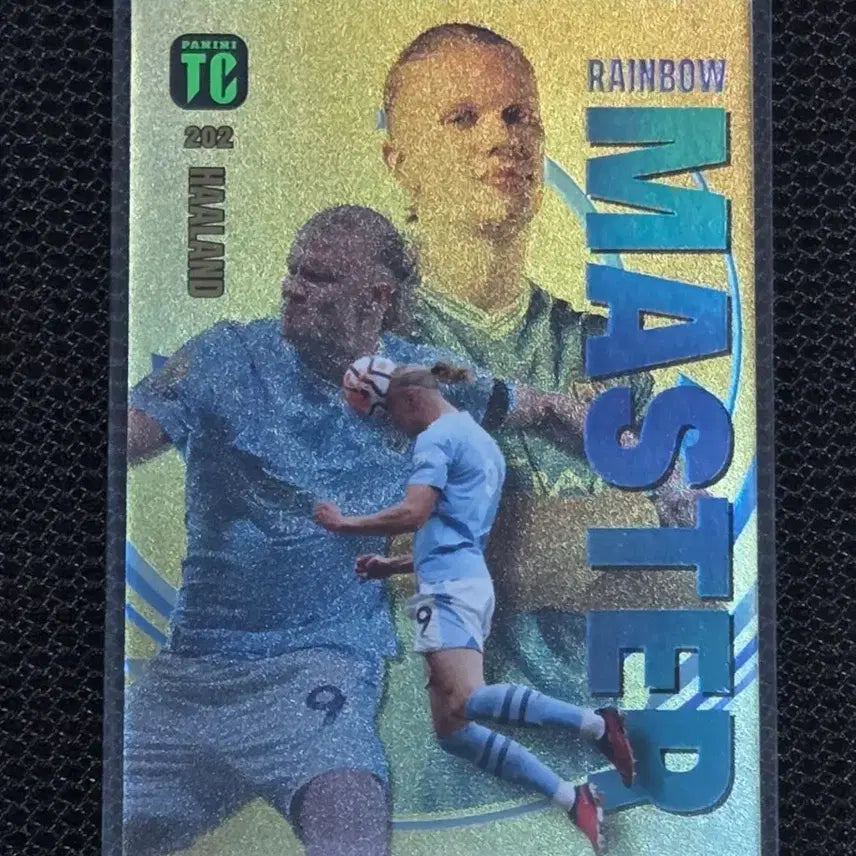 [BUNJANG] Panini Top Class Haaland Rainbow Master Card / 파니니 탑클래스 홀란드 레인보우 마스터 카드 판매