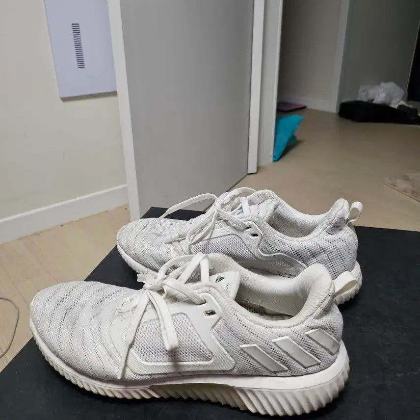[BUNJANG] Adidas AlphaBounce ST Running Shoes White 250mm / 아디다스 알파바운스 ST 운동화 250mm 화이트 상태좋음