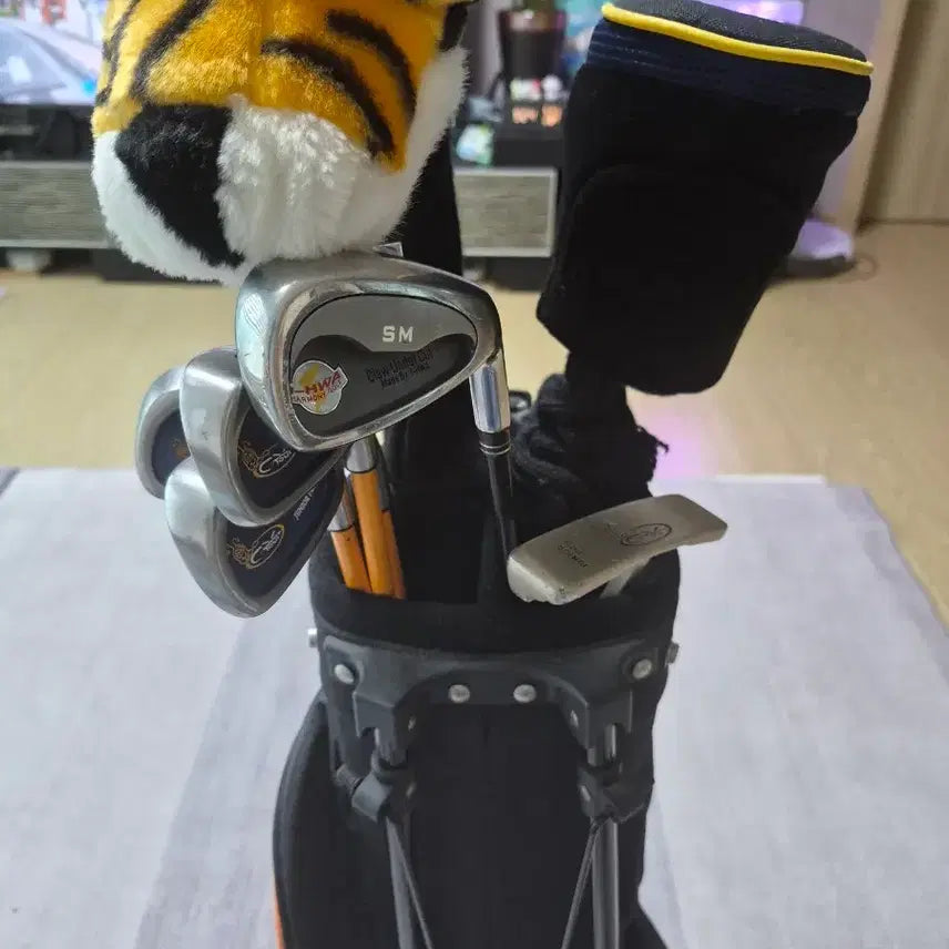 [BUNJANG] Junior Children's Golf Club Set with Stand Bag / 주니어 어린이 골프채세트팝니다