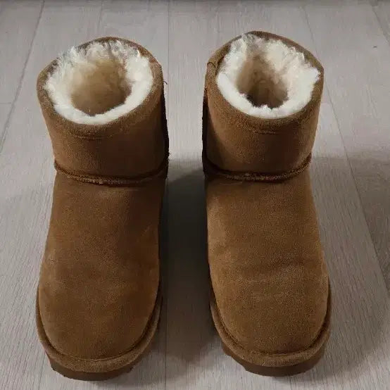 [BUNJANG] Bearpaw Hickory Suede & Wool Lined Boots - Women's Size 230 / 베어파우 고가라인 여성용 부츠 히코리 컬러 230