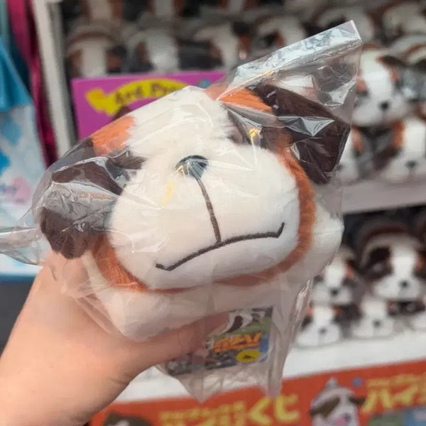 [BUNJANG] Studio Ghibli Heidi Dog Plush / 일본 지브리 알프스 소녀 하이디 강아지 인형 판매
