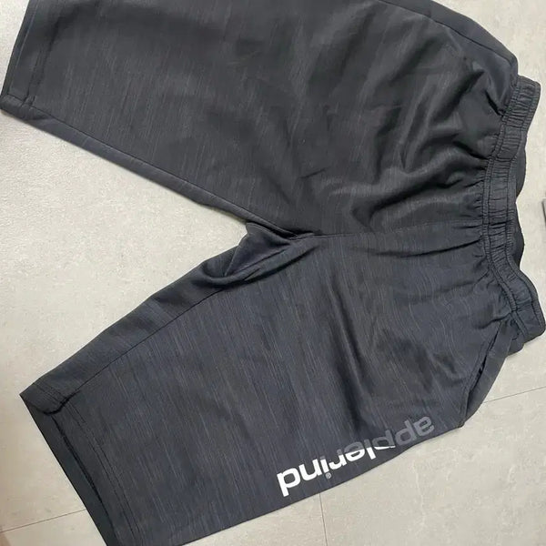 [BUNJANG] Appeallind Grey Shorts XL / 애플린드 반바지 그레이 xl