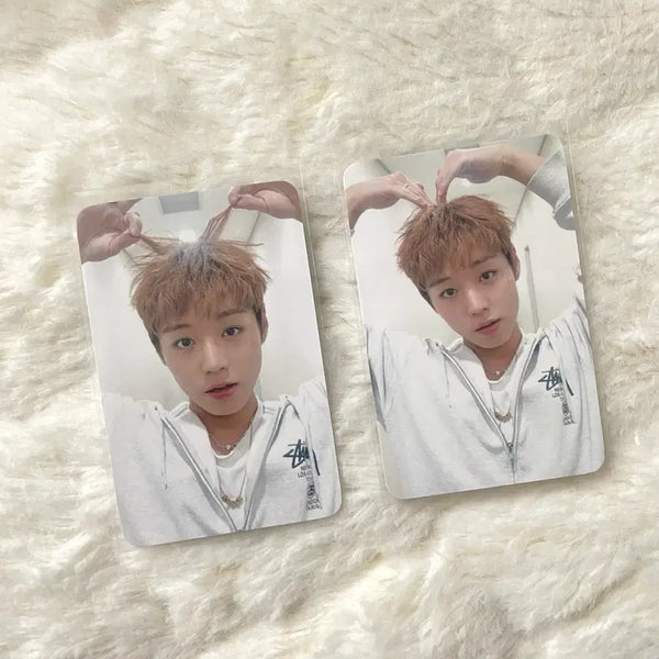 [BUNJANG] Park Ji Hoon Reflect Fan-Concert MD Photocard Bundle Set / 박지훈 리플렉트 팬콘서트 MD 포카 일괄