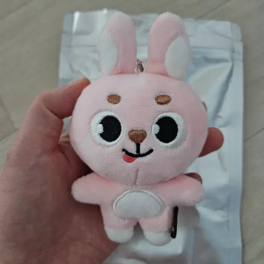 [BUNJANG] DAY6 MD Bundle Set Keyrings / 데이식스 메롱필,쁘띠멀즈 만두 일괄판매