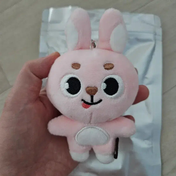 [BUNJANG] DAY6 MD Bundle Set Keyrings / 데이식스 메롱필,쁘띠멀즈 만두 일괄판매