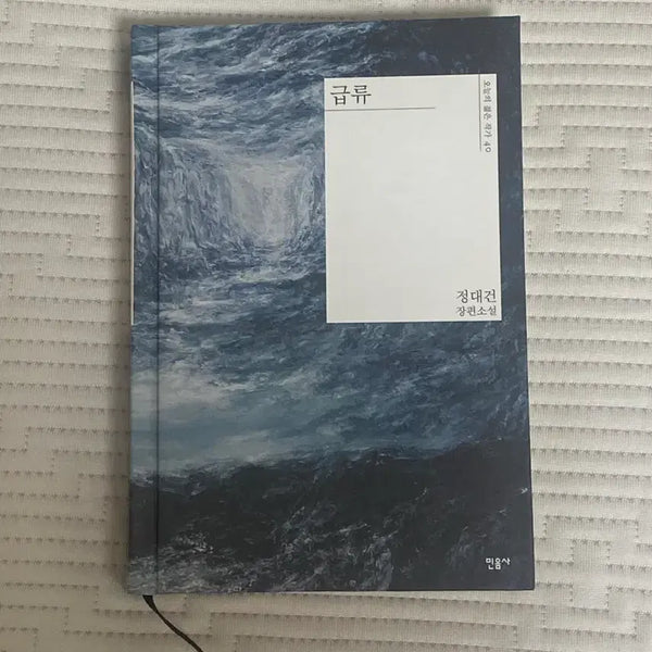 [BUNJANG] Jeong Dae-geon 'The Torrent' Novel / 급류 정대건 장편소설
