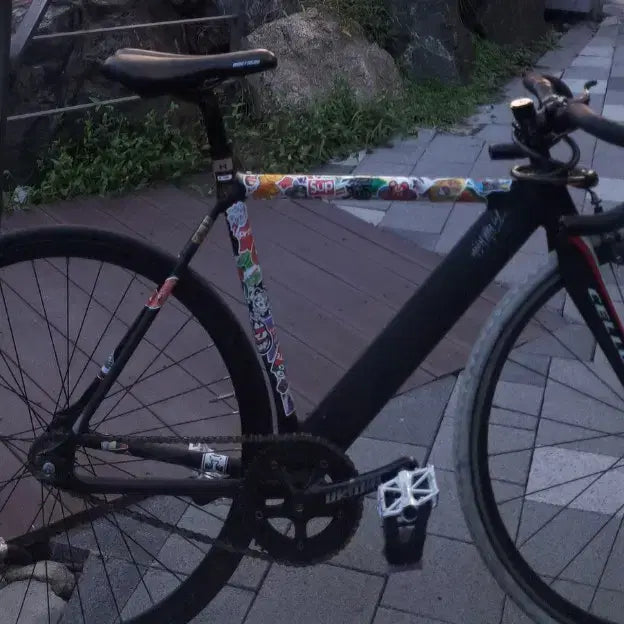 [BUNJANG] Custom Painted Engine 11 Breaker Fixie Bicycle / 어그로 xx) 번장 최저가) 도색 픽시자전거 판/대 (검색어 엔진11 콘스탄틴 쓰나미 언노운 csc노바텍 벨로시닷