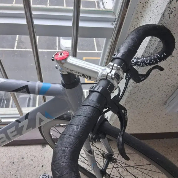 [BUNJANG] CABEZA MERRIN Frame Set 560mm / 픽시