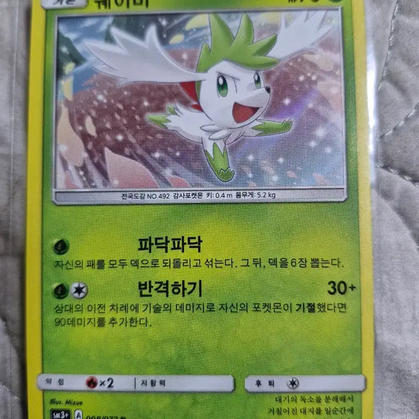 [BUNJANG] Shaymin Ancient Holo Card / [포켓몬카드]쉐이미 고대홀로카드 팝니다