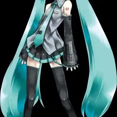 [BUNJANG] Hatsune Miku Cosplay Full Set / 하츠네미쿠 코스프레 풀세트 (급처) 일택포가격