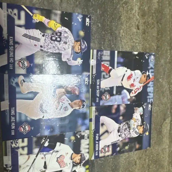 [BUNJANG] Doosan Bears KBO Normal Grade Card Bundle Set / kbo 두산 카드 (노멀) 일괄 판매합니다