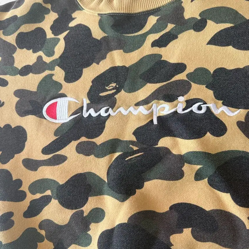 [BUNJANG] Bape x Champion Crewneck Sweatshirt (L) / [L사이즈 정품]베이프 x champion황계 맨투맨