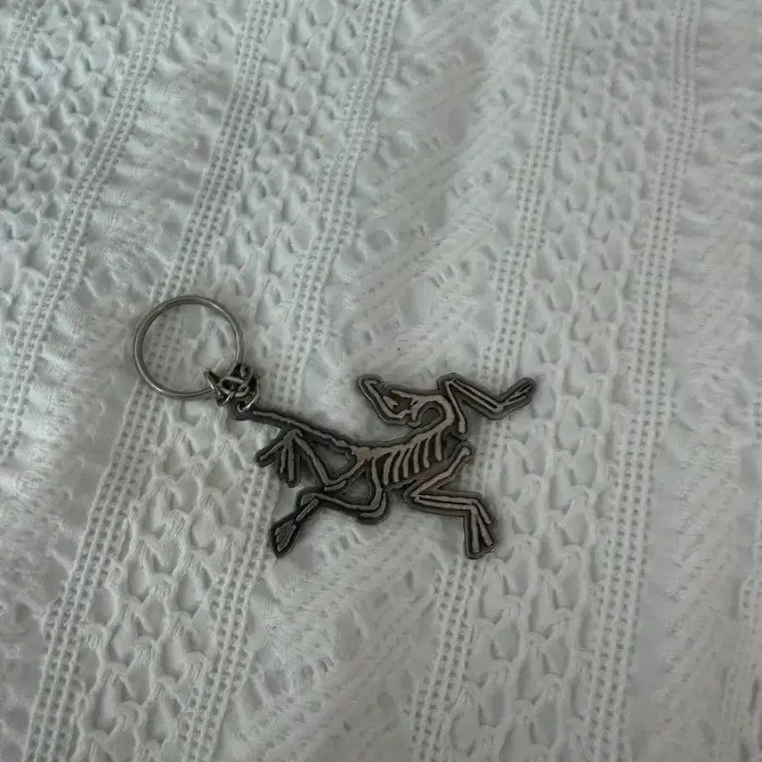 [BUNJANG] Arc'teryx Frog Skull Keyring / 아크테릭스 키링