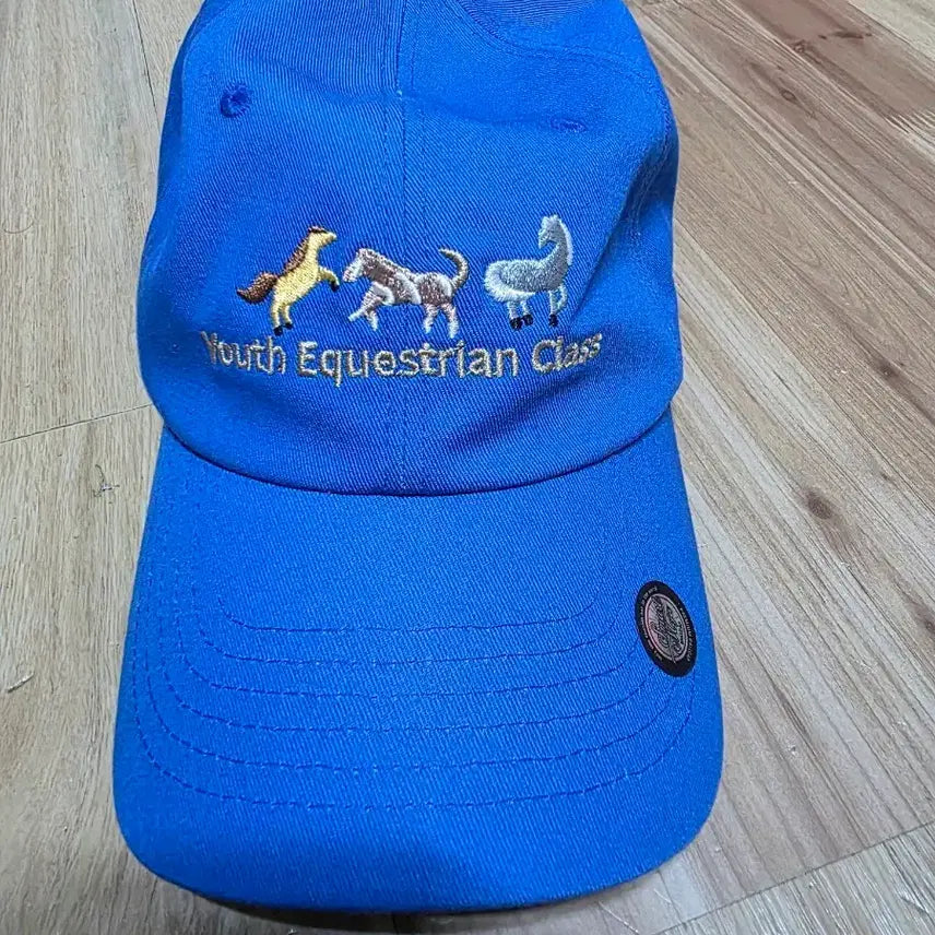[BUNJANG] Youth Equestrian Class Blue Baseball Cap / 모자 파란색 free