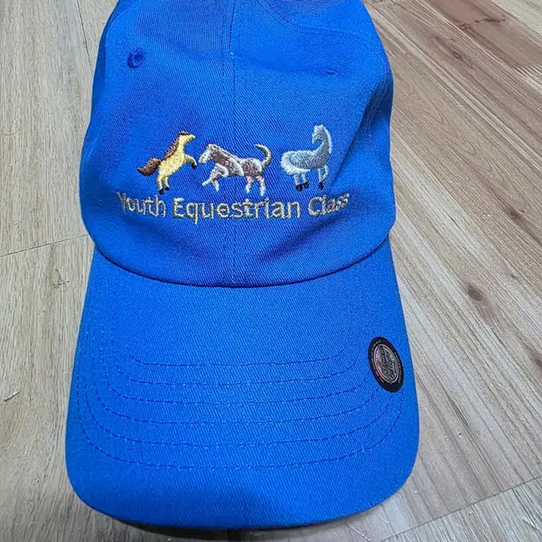 [BUNJANG] Youth Equestrian Class Blue Baseball Cap / 모자 파란색 free