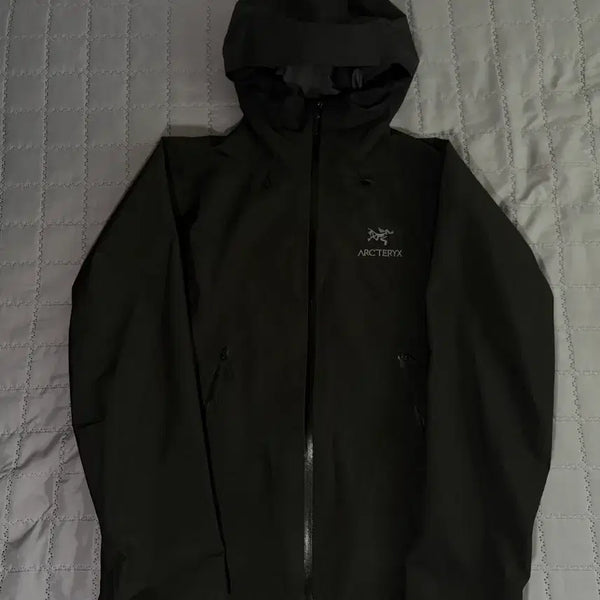 [BUNJANG] Arc'teryx Beta LT Jacket / [ L ] 아크테릭스 베타 LT