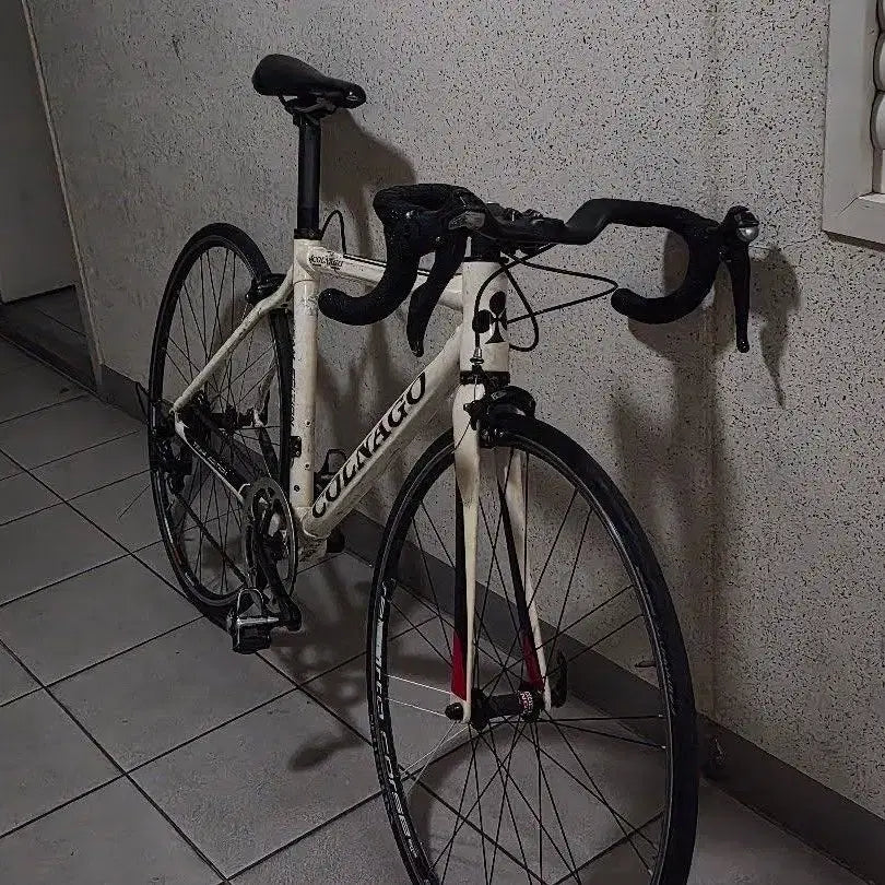 [BUNJANG] Colnago C59 Carbon Road Bike / 콜나고 c59 카본로드 판매합니다 <자토바이 대차>