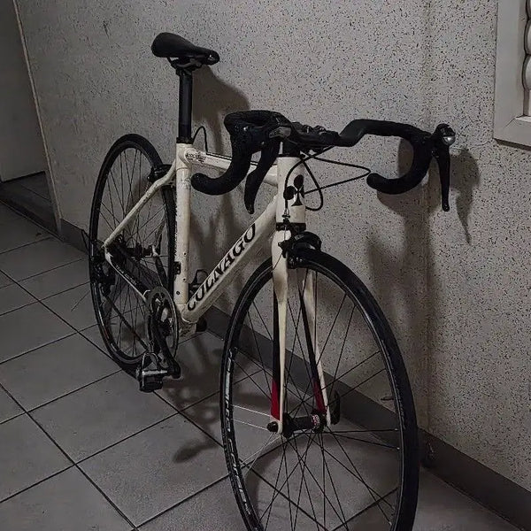 [BUNJANG] Colnago C59 Carbon Road Bike / 콜나고 c59 카본로드 판매합니다 <자토바이 대차>