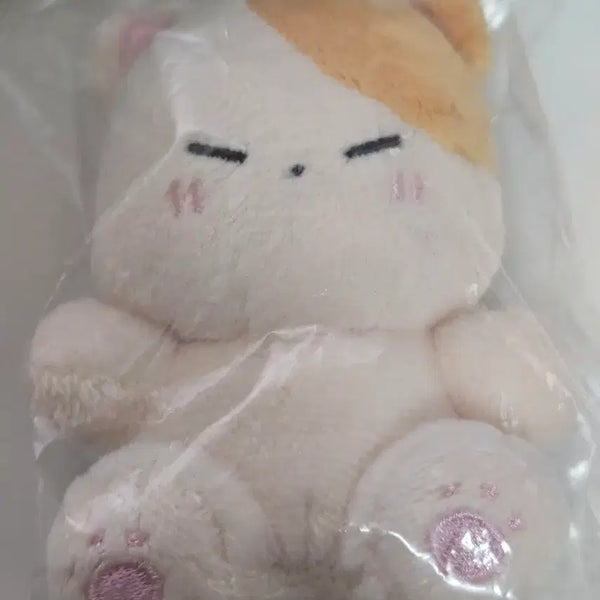 [BUNJANG] Infinite Sungkyu Kkyukong Doll / 인피니트 성규 인형 뀨콩 판매