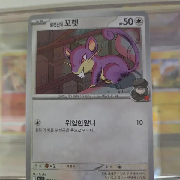 [BUNJANG] Team Rocket's Rattata SV10 076/098 C / 로켓단의 꼬렛 SV10 076/098 C