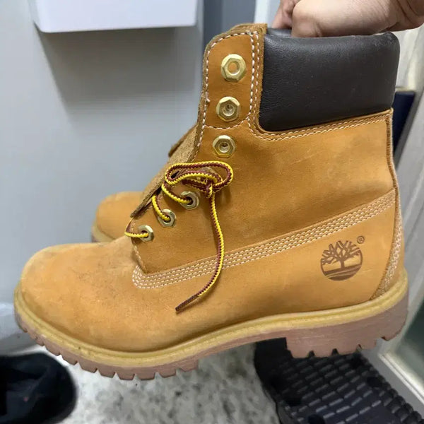 [BUNJANG] Timberland 6-Inch Waterproof Boots 265 / 팀버랜드 6인치 워터프루프 부츠 와이드265