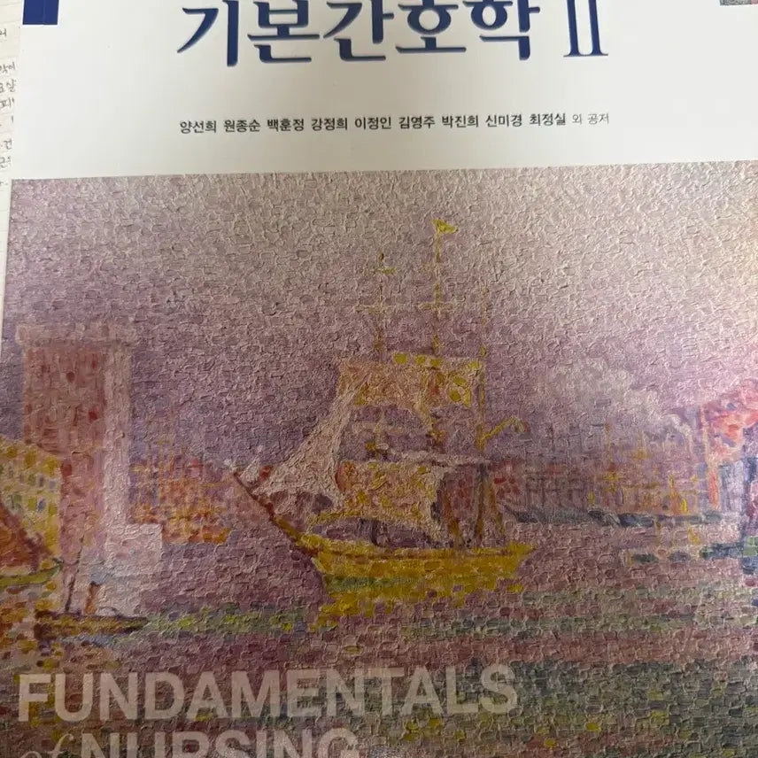 [BUNJANG] Fundamentals of Nursing II 4th Edition / 기본간호학 II 제4판 현문사