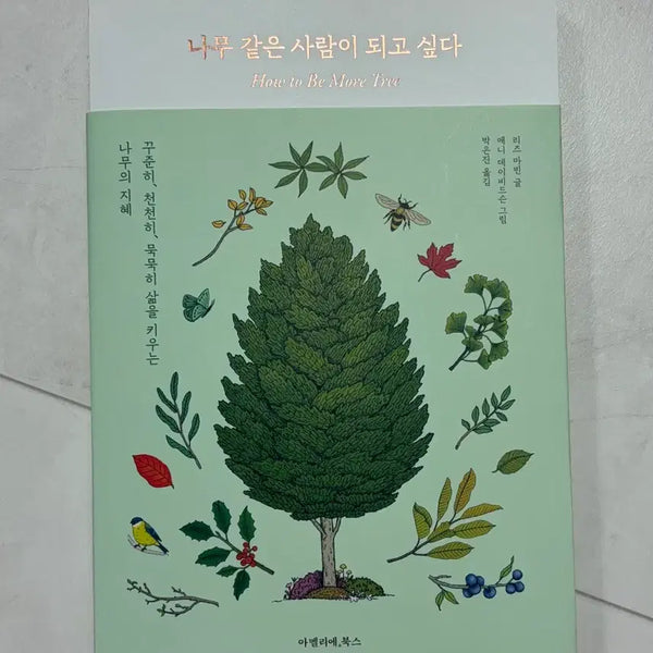 [BUNJANG] Becoming a Person Like a Tree - Used Book / 한번읽은 새책(나무 같은 사람이 되고 싶다)