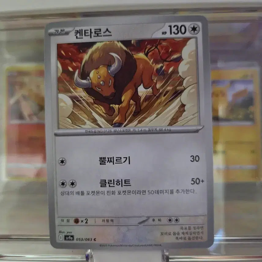[BUNJANG] Pokemon Card Kentauros Basic / 포켓몬 카드 켄타로스 기본