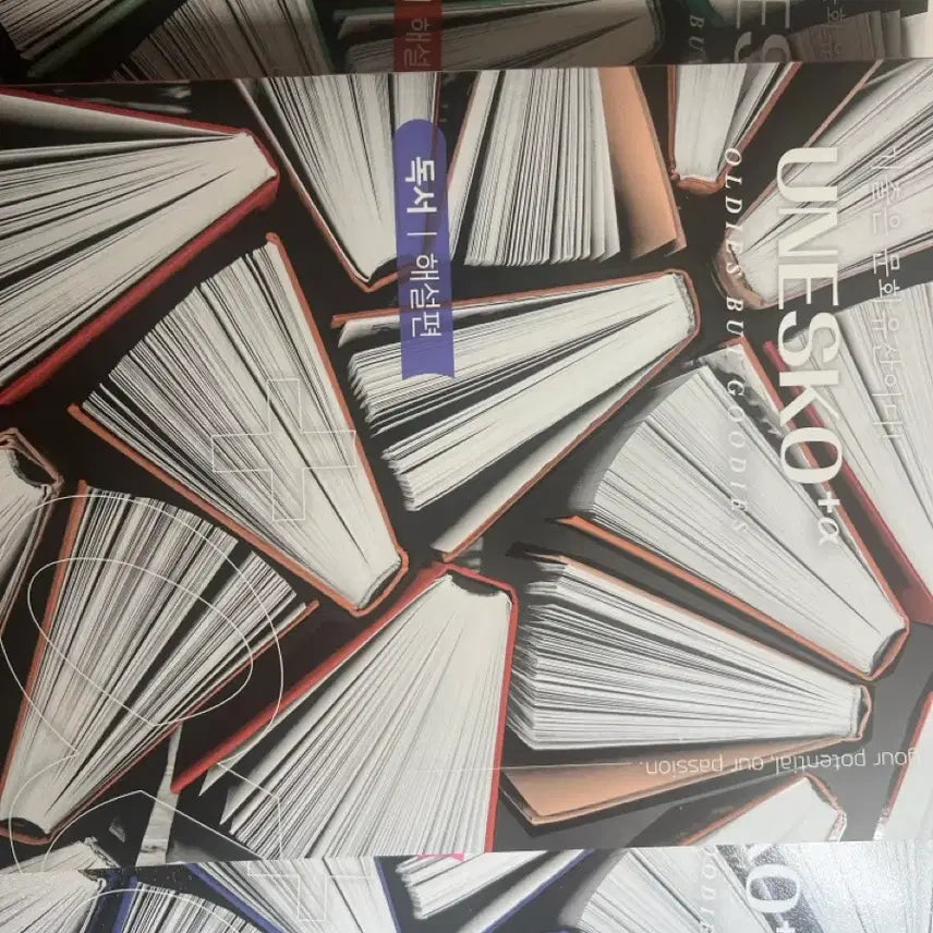 [BUNJANG] Kim Sang Hoon UNESCO Alpha Reading Comprehension Book / 김상훈 유네스코 알파