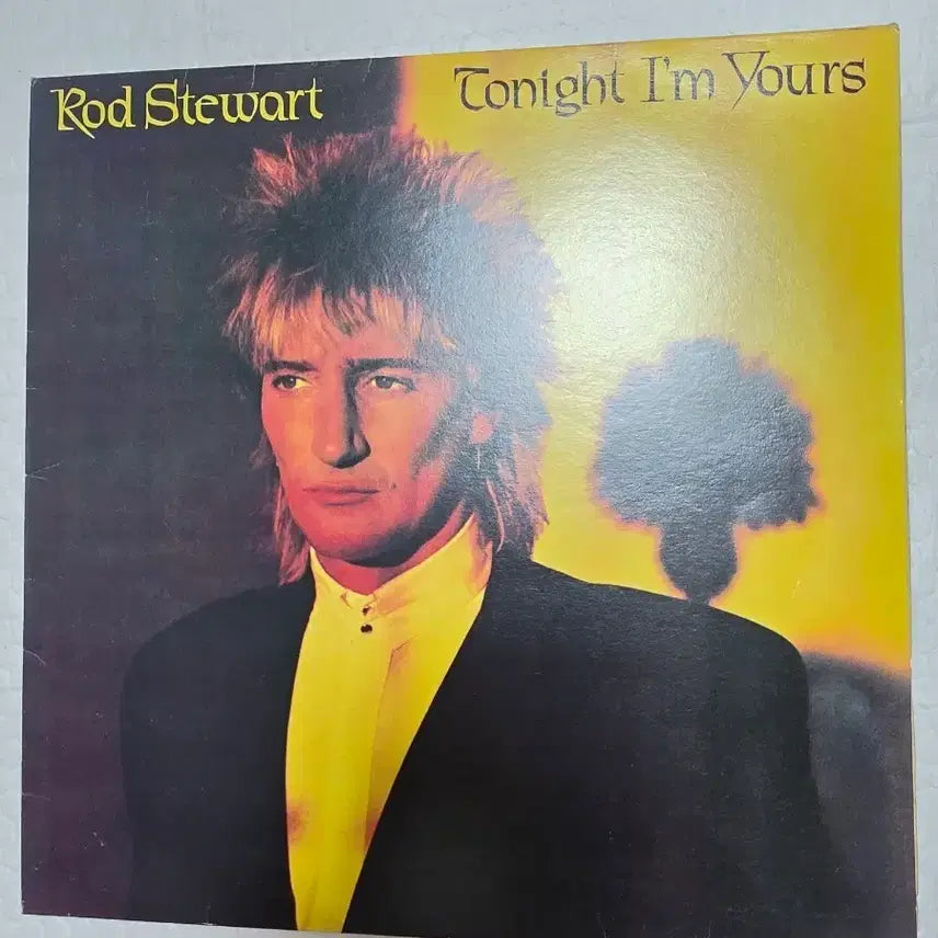 [BUNJANG] Rod Stewart LP Vinyl Record / 로드스튜어트 LP