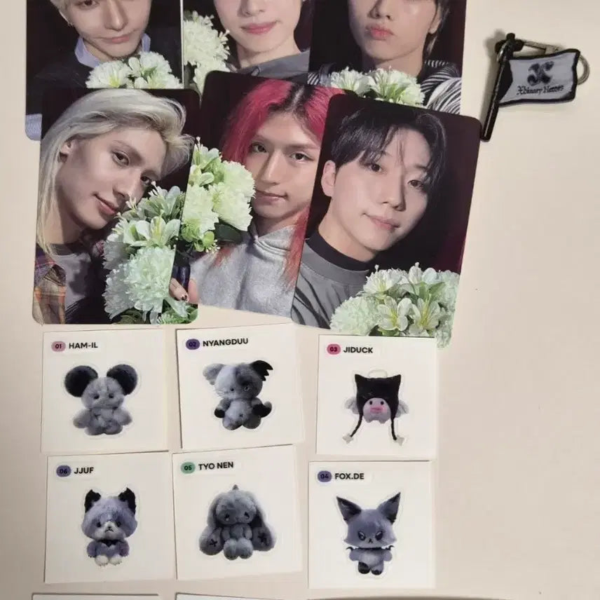[BUNJANG] Xdinary Heroes Viewers' Manual Entry Photocard / 엑디즈 엑스디너리히어로즈 뷰마 입장포카
