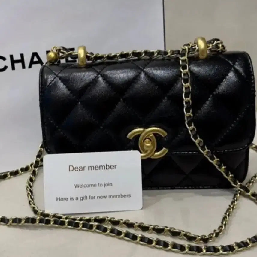 [BUNJANG] Chanel Classic Makeup Flap Bag Mini Black Gold Hardware / 샤넬 클래식 메이크업 플랩백 미니(정품)